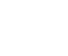 App Evo888